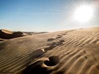 Steps Unto the Sun
