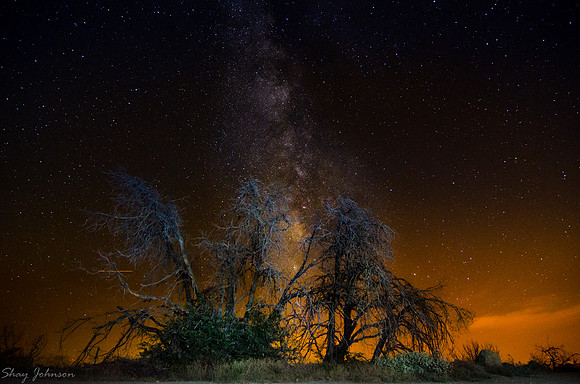 Amber Night Milky Way