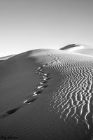 empty footsteps